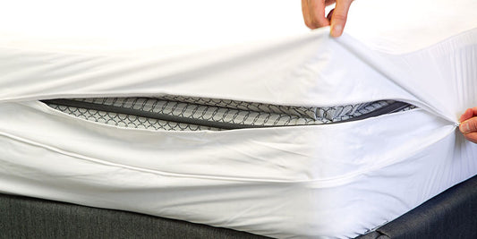 Get Complete Bed Bug Protection With An Encasement Mattress Protector